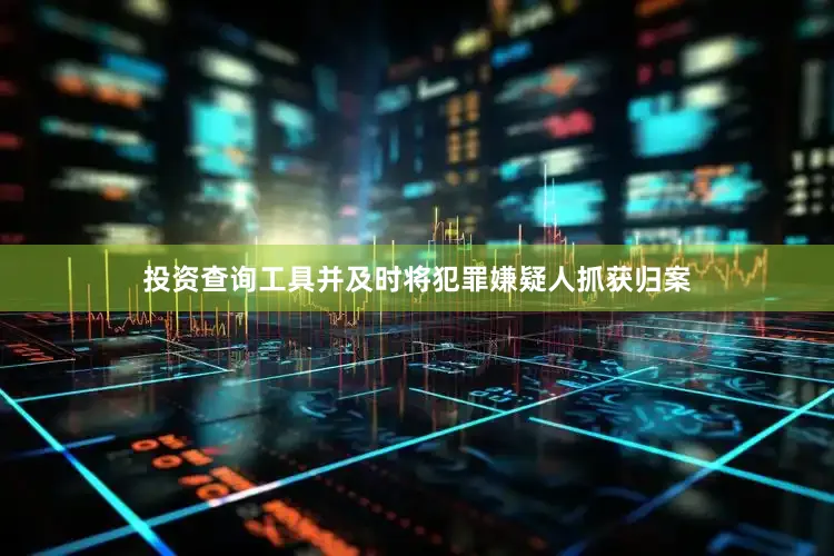 投资查询工具并及时将犯罪嫌疑人抓获归案