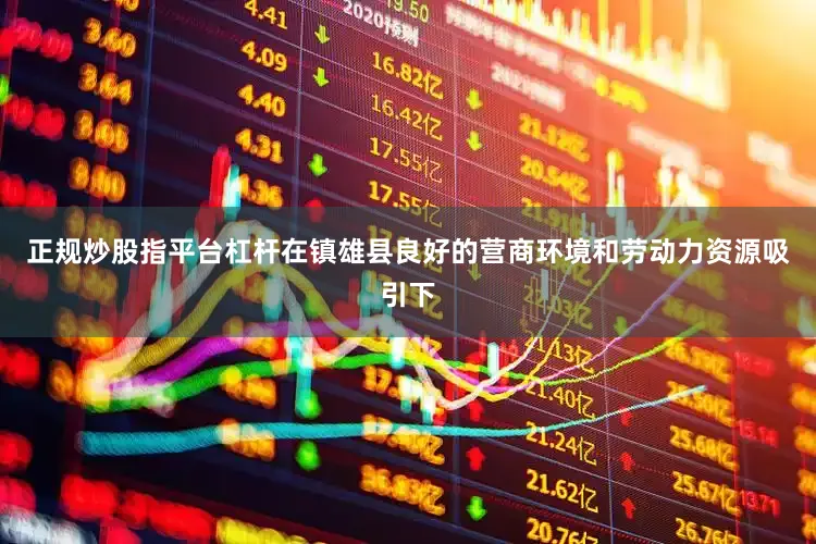 正规炒股指平台杠杆在镇雄县良好的营商环境和劳动力资源吸引下