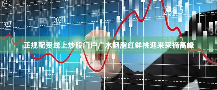正规配资线上炒股门户广水胭脂红鲜桃迎来采摘高峰