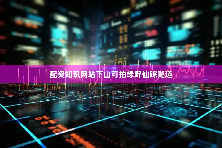 配资知识网站下山可拍绿野仙踪隧道